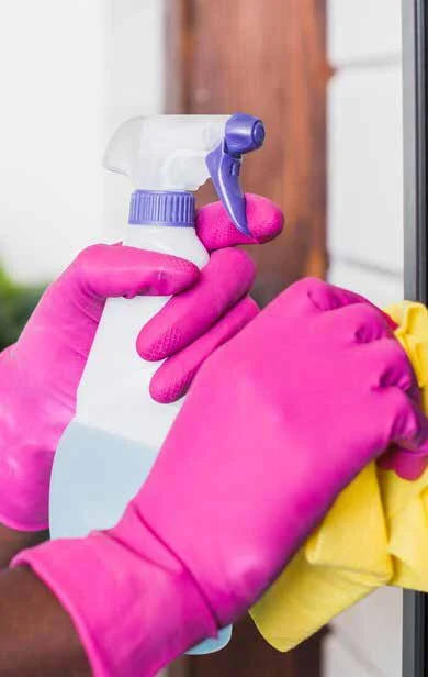 Disinfection equipment